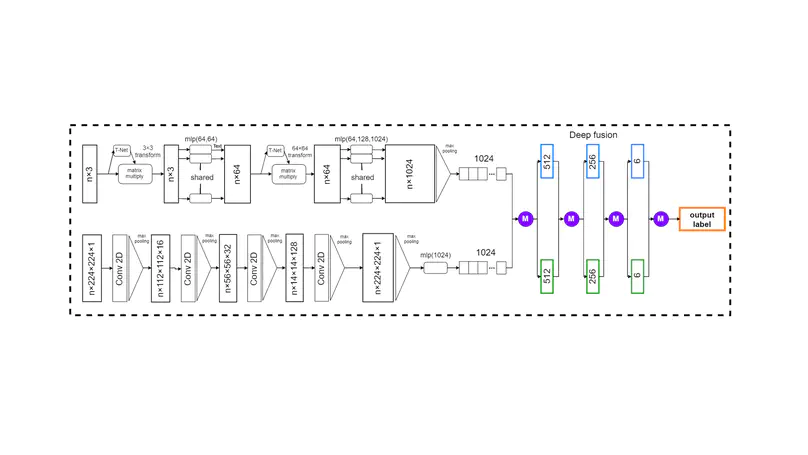 Complex field-based fusion network for human activities classification with radar